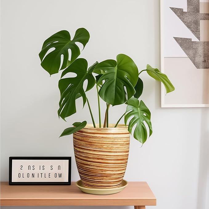 8 Inch Plant Pot, Ceramic Planter with Drainage Hole and Saucer Large Flower Pot for Home Patio Garden Office, Yellow