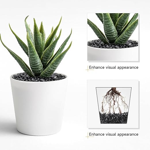 10 lbs Black Pebbles for Indoor Plants, Succulent, Bamboo, Vase, 3/8" Plant Rocks for Pots Indoor, Small River Rocks Decorative Pea Gravel, Highly Polished