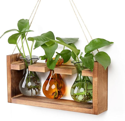 Plant Propagation Station Plant Terrarium Unique Birthday Gifts for Women Plant Lovers Home Office Decor Planter with Wooden Stand - 3 Bulb Glass Vase