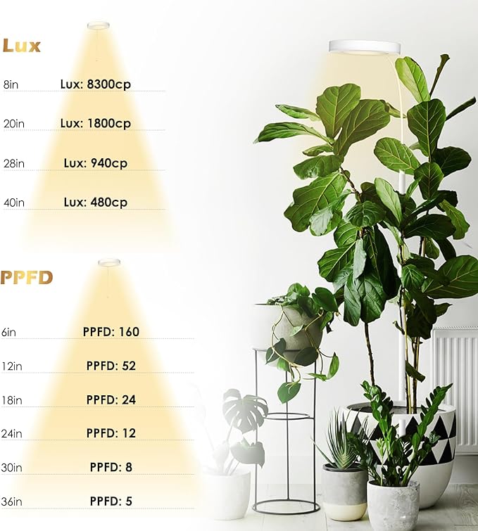 GLOWRIUM Grow Lights for Indoor Plants, 20W Full Spectrum LED Grow Light Floor Lamp with Stand Adjustable Height and Angle, Black Plant Light with 3/9/12H Timer White
