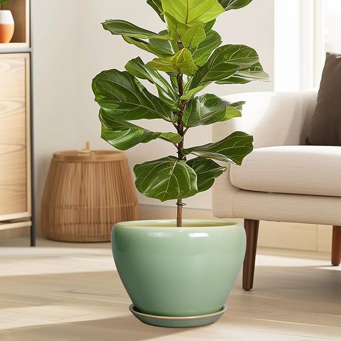 Ceramic Planter Pot - 10 Inch Plant Pot for Indoor Plants Decorative Planter with Drainage Hole and Saucer Large Pot for Plants Outdoor Round Flower Pot for Garden Green