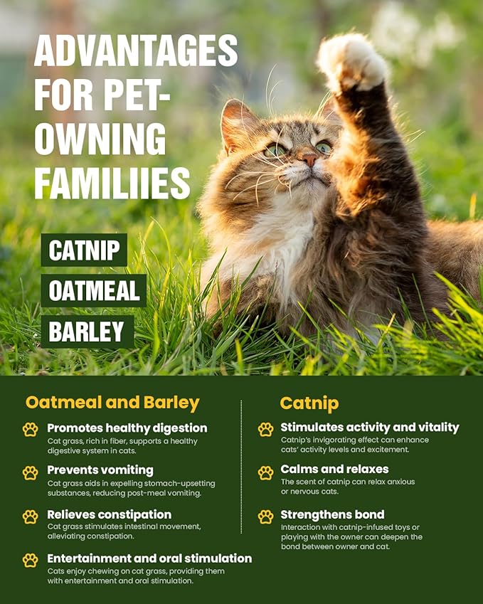 Organic Cat Grass & Catnip Seeds Kit – 3 Pack Oat & Barley Grass for Indoor Cats – Fast 7-Day Growth, High Germination, Hairball Control & Play – Pet-Safe Planting Set