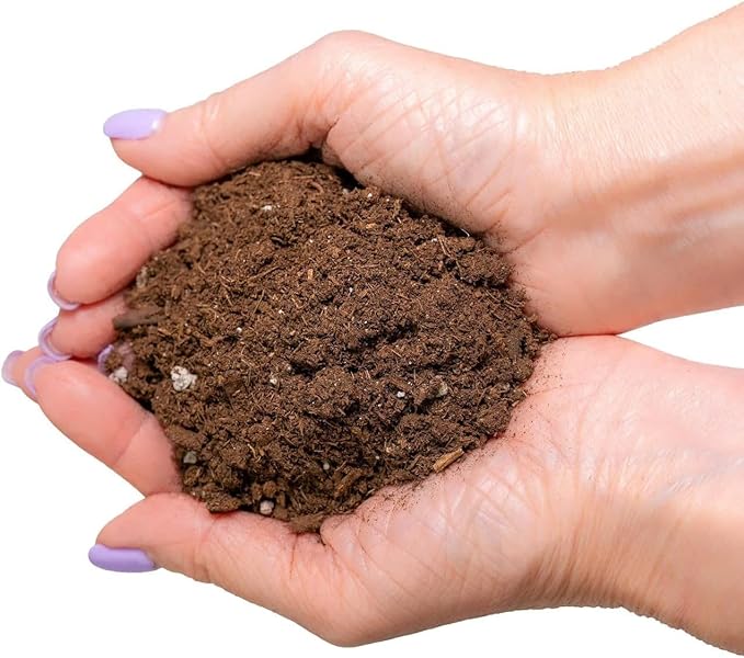 Citrus Tree Potting Soil Mix, Special Blend for Indoor Oranges, Lemons, Limes and More - (3 Quart Bag)