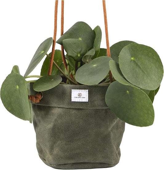 Waxed Canvas Handmade Hanging Planter for Indoor/Outdoor Plants, Hanging Basket Plant Holder Forest Green