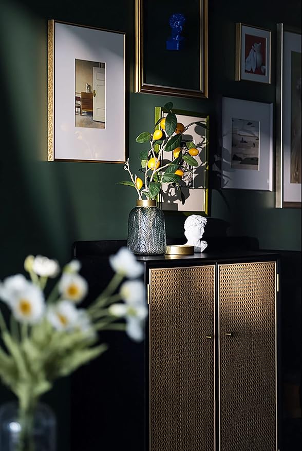 Dimoon 118''x15.7'' Emerald Dark Skin Peel and Stick Wallpaper Contact Paper Modern Self Adhesive Wall Paper Removable Renter Friendly Textured Solid Vinyl Roll (118''x15.7'',Emerald Dark Skin)