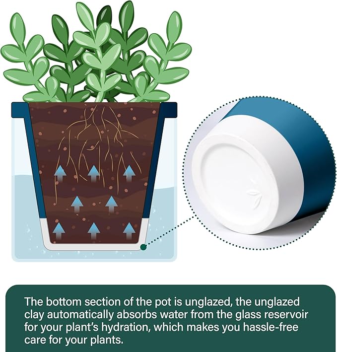 D'vine Dev 4 Inch Design Self Watering Planter for Indoor Plants, Blue Terracotta Pot with Cylinder Glass Cup, Set of 2, 37-Y-A-4