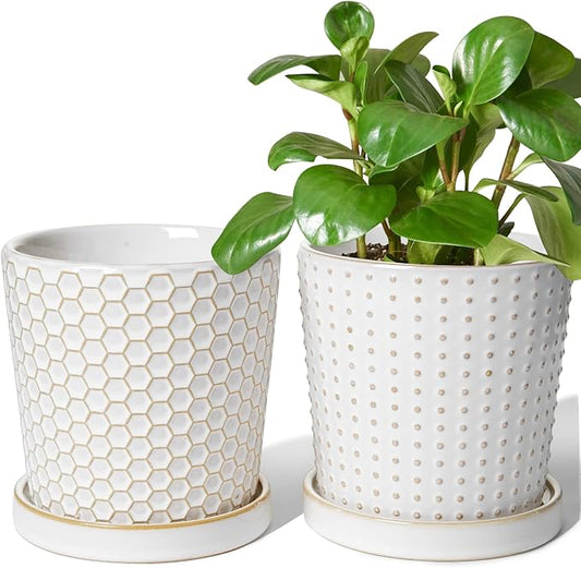 LE TAUCI Ceramic Plant Pots, 5.4 Inch Pots for Indoor Plants, Planters with Drainage Hole and Saucer, Flower Pots for Succulent, Snake Plants and Cactus, Set of 2, Reactive Glaze White