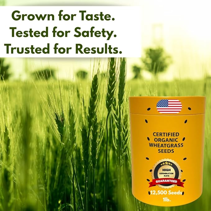Certified Organic Wheatgrass Seeds – 12,500+ Non-GMO USDA Cat Grass Seeds in Food-Grade Container with Lid for Easy Scooping & Freshness