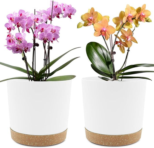 QCQHDU 8 inch Plant Pot, 2 Pack Planters for Indoor Plants with Drainage Holes & Saucer, Outdoor Flower Pots Home Garden Modern Decor
