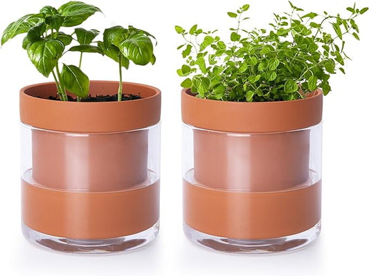 Phoenix Vine 4 Inch Self Watering Planter Pot, Terracotta Clay Pot with Glass Reservoir for Indoor Plants, Herbs, Flowers, Set of 2, 52-A-E-2