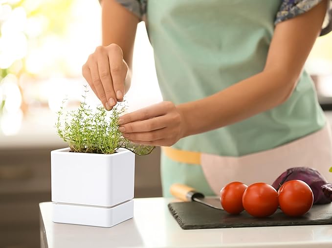 4 Inch Herb Planter Pot, Plastic Planter with Drainage Holes and Saucer, Modern Decorative Gardening Pot for Indoor Plants, Flowers, Herbs, Succulents, White, Set of 2, 76-Y-A-2