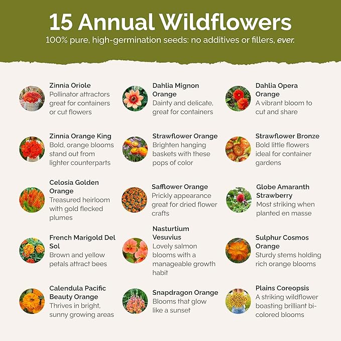 Eden Brothers Orange You Glad Flower Mixed Seeds for Planting, 5 lb, 2,400,000+ Seeds with Dahlia, Double Strawflower | Attracts Pollinators, Plant in Spring or Fall, Zones 3, 4, 5, 6, 7, 8, 9, 10