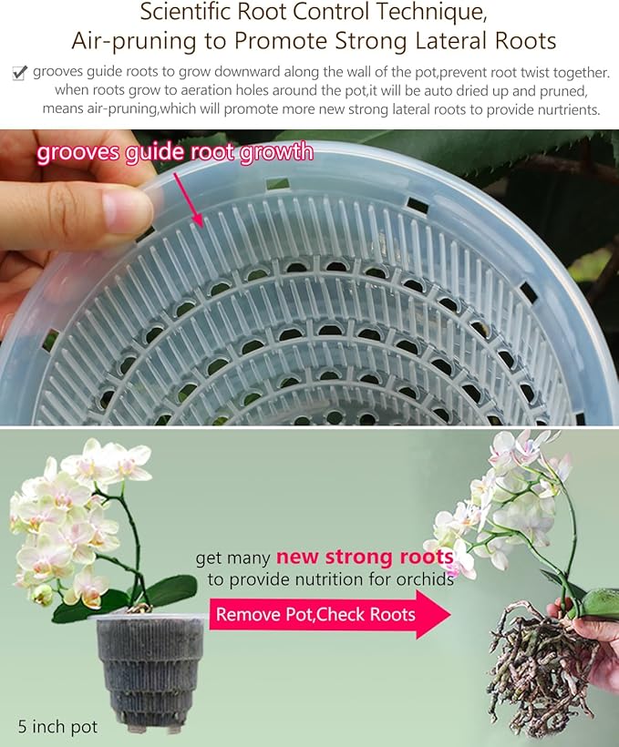 6 inch Orchid Pots with Holes for Repotting with Excellent Airflow, Set of 1, Double Layer Plastic Imitate Ceramic Orchid Planter, Clear Orchid Pot Match Decorative Orchid Container