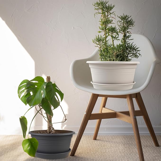 6 Pack 10 inch Plant Pot, Outdoor Pots for Plants with Drainage Hole & Tray Saucer, Round Plastic Plant Pot, Decoration Flower Pots for Indoor Plants Home Garden Outdoor Planters (White)