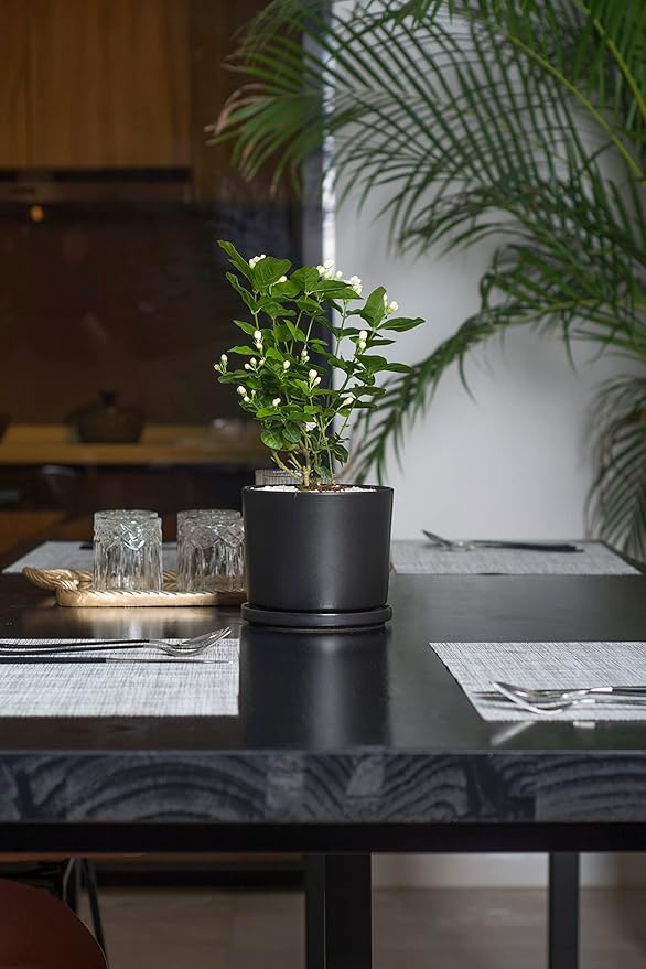 Ekirlin 9 inch Plant Pots,Ceramic Flower Planters Indoor,Modern Succulents Containers with Drain Hole Saucer,Decorate Home,Office & Outdoor (Black)