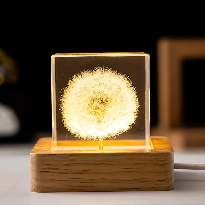 Flower Crystal Ball Night Light,2.4 inch Glass Ball Night Lamp with Woodern Base (Dandelion 1)