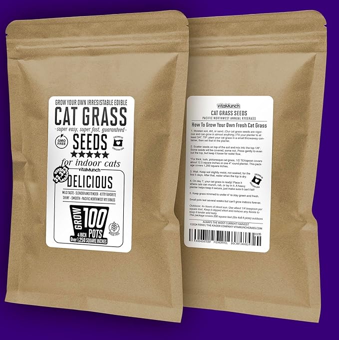 Cat Grass Seeds – Smooth Tasty Ryegrass – Grows 100 Pots of Fresh Cat Grass for Indoor Cats & Kittens – Easy & Fast – Bulk Rescuer's Pack Grows 1,250 Square inches of Edible cat Grass Vitamunch