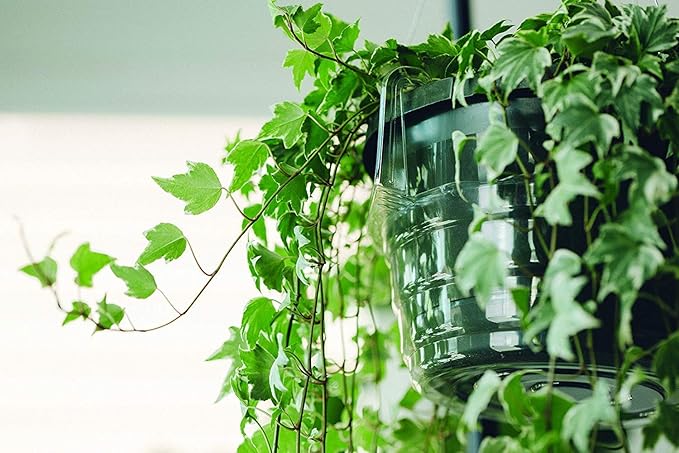 Curtis Wagner Plastics Hanging Basket Drip Pans (5-Pack) | Clear, Round (Diameter = 7.37" Base, 10" Top, 3.7" Depth) Hanging Plant Tray Saucer with Built-in Hooks & Water Catcher for Indoor & Outdoor