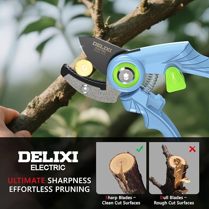 DELIXI Pruning Shears Anvil Garden Clippers, 1/2-Inch Cut Capacity Hand Pruners, Stainless Steel Blade with Non-Stick Coating, Ergonomic Small-Hand Design for Dry and Hard Branches