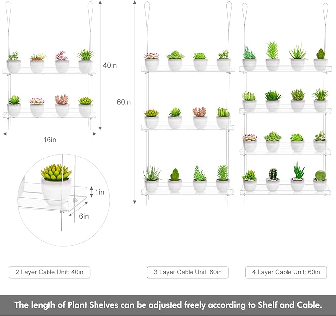 2-Tier Clear Hanging Window Plant Shelves 16inch,Indoor Windows Wall Hanging Plant Stand Flower Display,Flower Pot Organizer Storage for Window Grow Herbs,Microgreens,Succulents,Flower