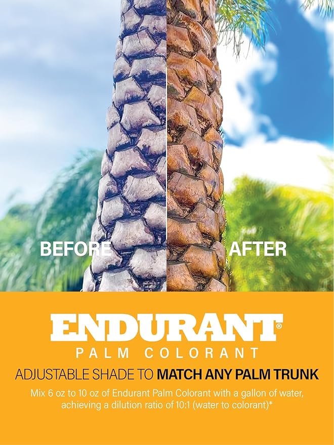 Endurant Palm Colorant – Non-Toxic Palm Tree Protector - Enhances Natural Beauty - Prevents Sunscald & Bark Damage -Easy Annual Application - Vibrant Long-Lasting Trunk Care - 32 oz