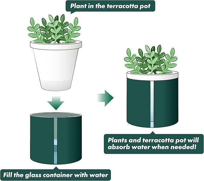 D'vine Dev 4 Inch Design Self Watering Planter for Indoor Plants, White Terracotta Pot with Teal Cylinder Glass Cup, Set of 3,37-Z-A-5-T