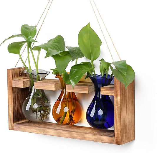 Plant Propagation Station Plant Terrarium Unique Birthday Gifts for Women Plant Lovers Home Office Decor Planter with Wooden Stand - 3 Bulb Glass Vase