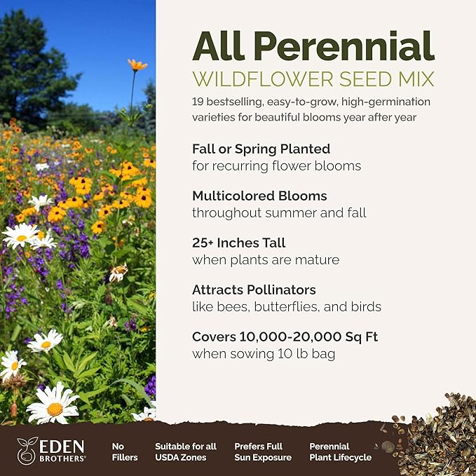 Eden Brothers All Perennial Wildflower Mixed Seeds for Planting, 10 lb, 4,800,000+ Seeds with Lupine, Shasta Daisy | Attracts Pollinators, Plant in Spring or Fall, Zones 3, 4, 5, 6, 7, 8, 9, 10