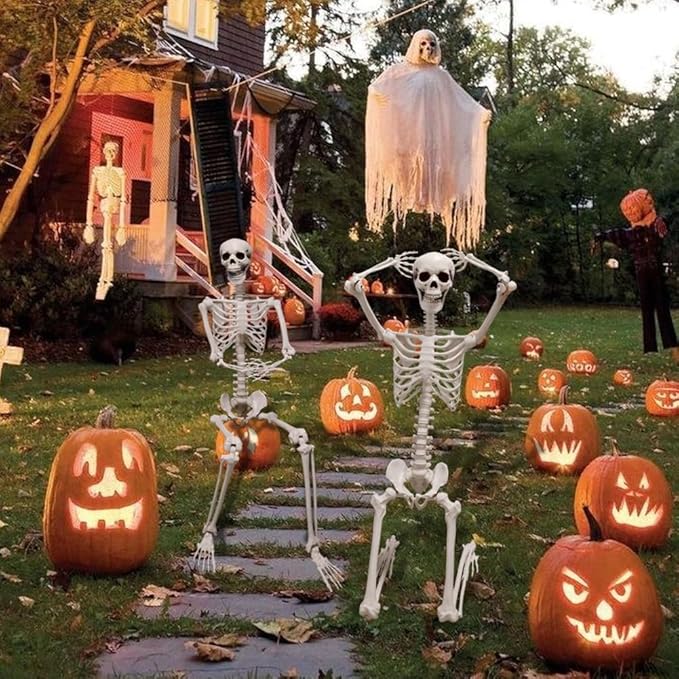 DINESIL 6Ft/185cm Halloween Skeleton, Life Size Skeleton Halloween Realistic Full Body Bones with Movable Joints for Halloween Party Haunted House Indoor Outdoor Decoration