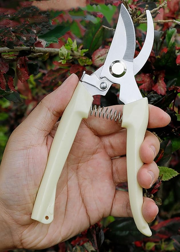 5pcs Garden Flower Shears Pruning Shears 6.9 inches Scissors Heavy Duty Plant Scissors for Cutting Flowers, Trimming Plants, Bonsai, Fruits Picking (White Handle 5pcs)