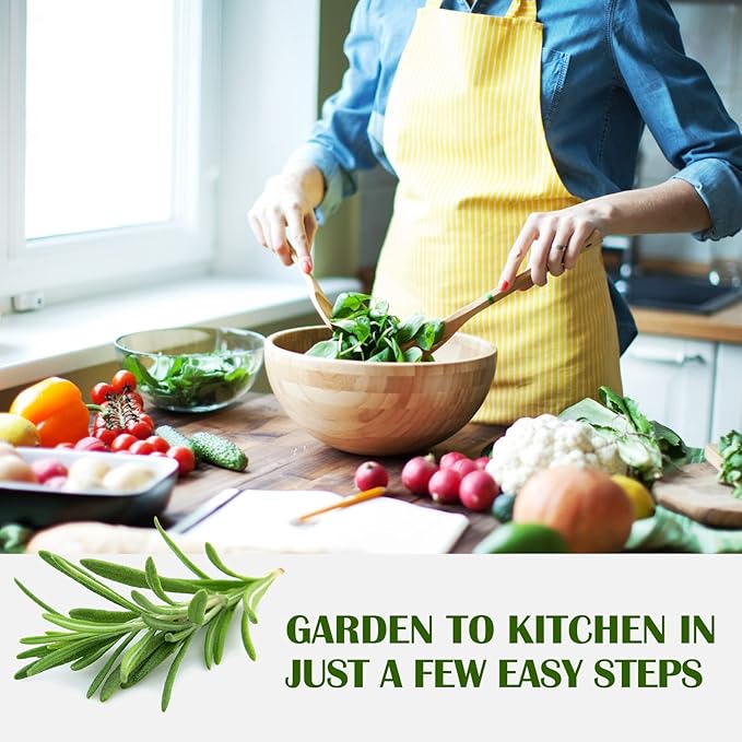 10 Kit Non-GMO Growing into Thyme, Lavender, Chamomile, Dill, Chives, Cilantro, Rosemary, Basil, Parsley, Sage Indoor/Outdoor for Kitchen Windowsill Gardening Gift