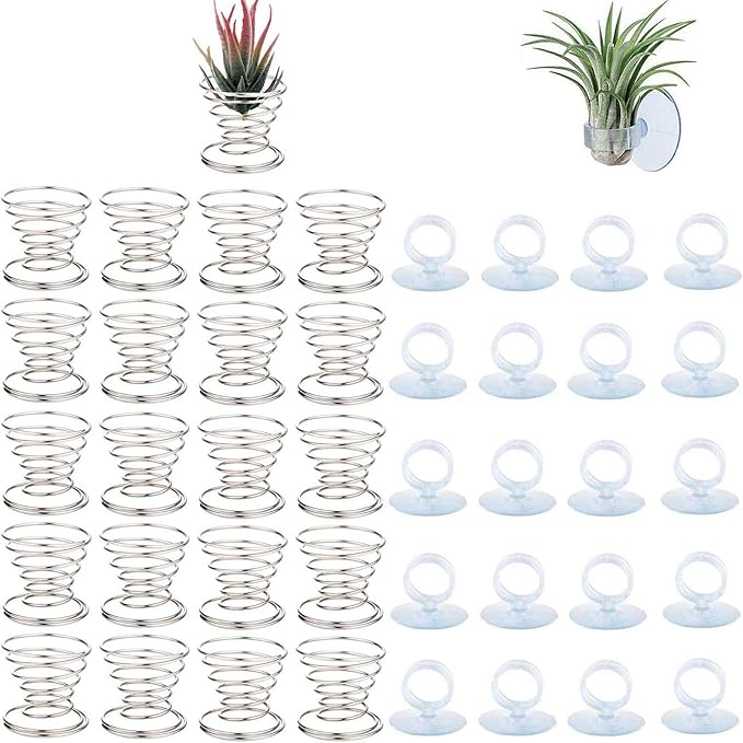 40 Pack Air Plant Stand Holder Tillandsia Airplant Container with Suction Cup Tabletop Planter Display Racks for Hanging Tillandsia House Plants
