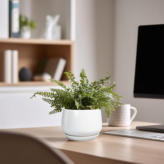 G EPGardening Ceramic Plants Pots - 4 inch Succulent Pots for Indoor Outdoor, Small Planter with Drainage Hole & Saucer, Round Planter, Modern Flower Pot, Office Decor, Plant Lovers Gifts, White