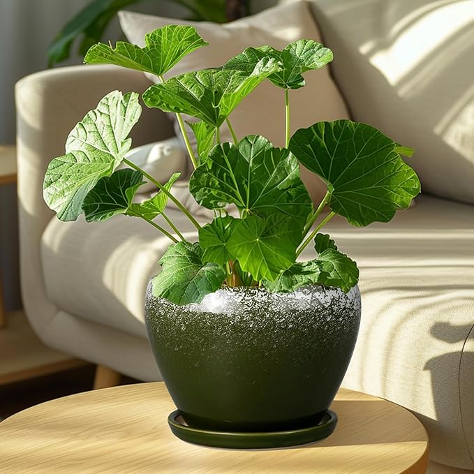 8 Inch Plant Pot - Ceramic Planter with Drainage Hole and Saucer, Modern Flower Pot for Glazed Indoor Plants Outdoor, Dark Green