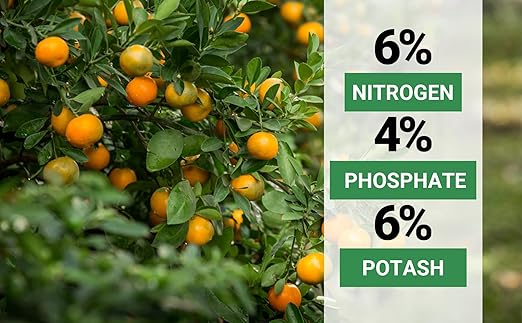 6-4-6 Avocado and Citrus Tree Professional Fertilizer Plant Food for Outdoor/Indoor Gardening; Quick-Release Nitrogen Fertilizer; Orange, Lime, Avocado and Lemon Tree Fertilizer (5 QUARTS)