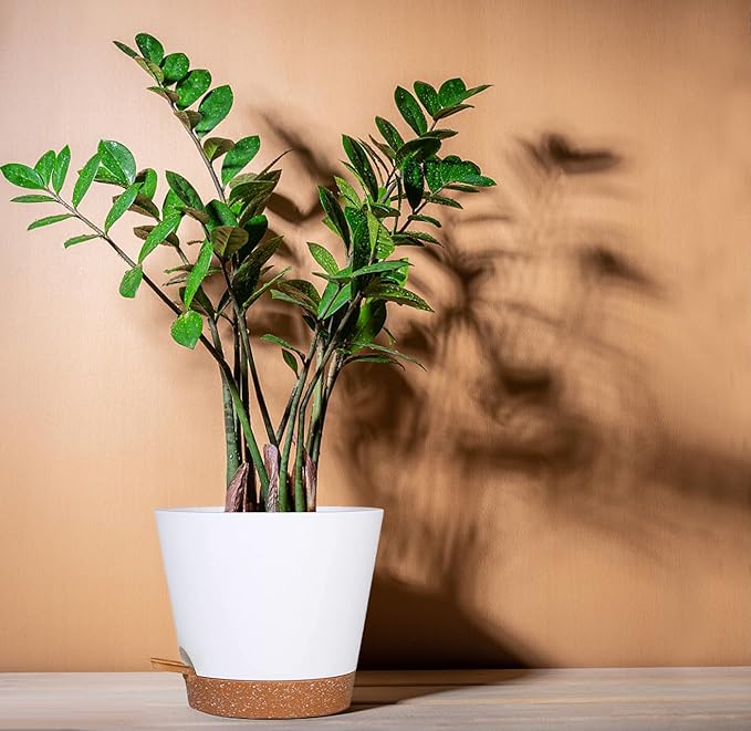 12+12Inch 2Pack Large Flower Pots for Indoor/Outdoor Plants,Self Watering Planters with Reservoir and Drainage Hole White Plastic Planting Pots Modern Home Decor Gift Idea