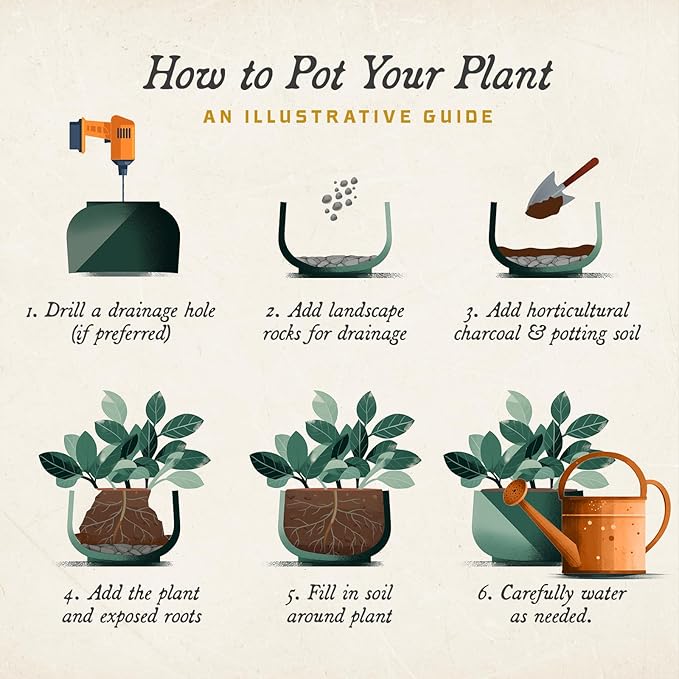 ARBORA 20" Monaco Square Polyresin Indoor and Outdoor Planter with Classic Cream Finish - Durable, Weatherproof, Lightweight, Large Plant Pot for Patio, Garden, Deck, Entryway