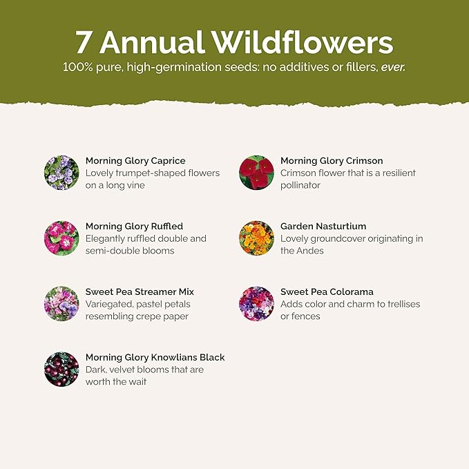 Eden Brothers Colorful Climbers Flower Mixed Seeds for Planting, 1/4 lb, 120,000+ Seeds with Morning Glory, Sweet Pea | Attracts Pollinators, Plant in Spring or Fall, Zones 3, 4, 5, 6, 7, 8, 9, 10