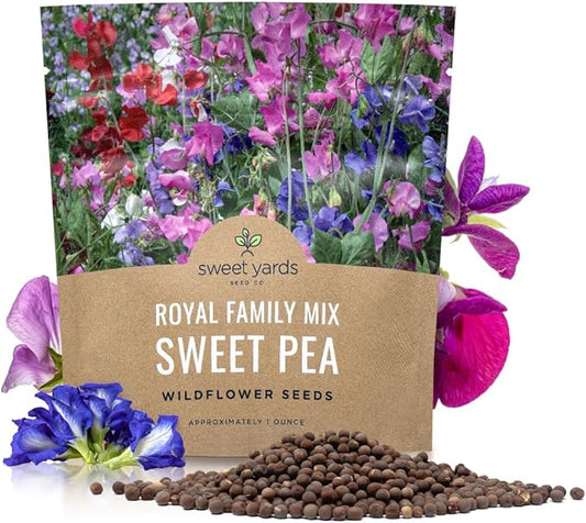 Sweet Pea Seeds Royal Mix - Bulk 1 Ounce Packet - Over 350 Seeds - Large Fragrant Lavender, Purple, Red, Pink and White Blooms