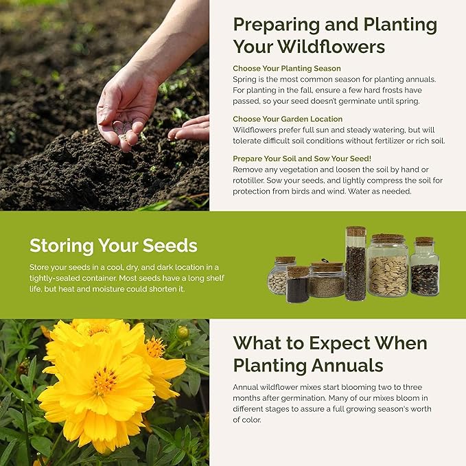 Eden Brothers Jellybean Flower Mixed Seeds for Planting, 1 oz, 30,000+ Seeds with Zinnia, Cornflower, Cosmos, Calendula | Attracts Pollinators, Plant in Spring or Fall, Zones 3, 4, 5, 6, 7, 8, 9, 10