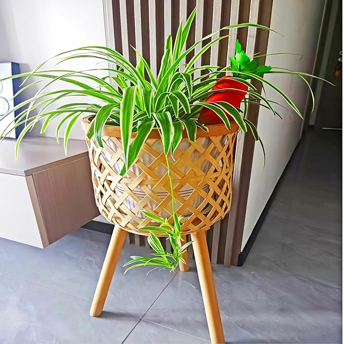 4-Pack Plant Watering Spikes with Lids，Self Watering Spikes, Plant Water Seepage Device, Cute Carrot Shape，Clay Plant Garden Waterers for Vacations