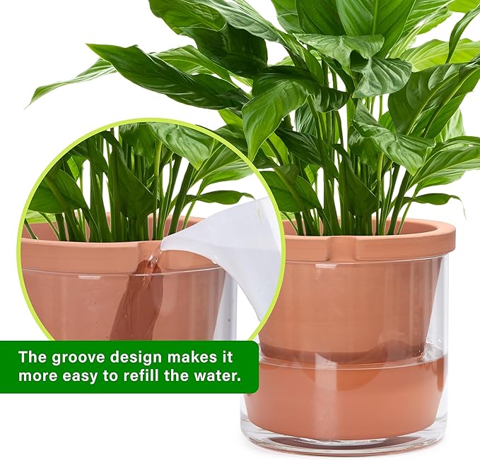 D'vine Dev 10 Inch Design Self Watering Pot for Indoor Plants, Terracotta Planter with Cylinder Glass Cup, 37-X-D-1
