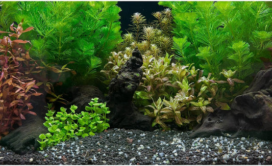 Aquarium Background Exquisite Underwater Grass Leaves with Pebbles Aquarium Backdrop Vivid Green Aquatic Plant Stone with Dead Woods and Fresh Leaves Fish Tank Wallpaper 72x24in