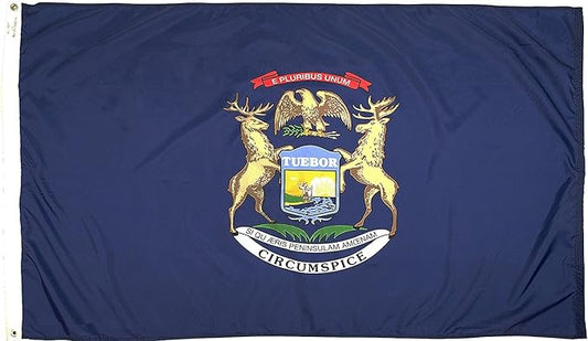 FlagSource Michigan Nylon State Flag, Made in the USA, 4x6'
