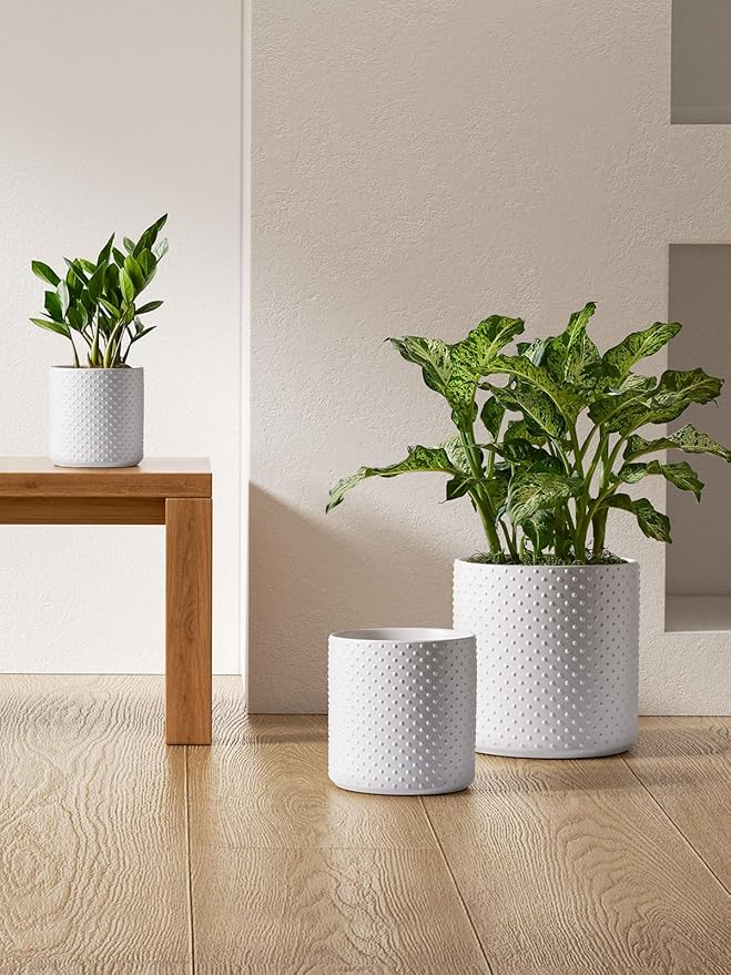 LE TAUCI Ceramic Plant Pots Indoor, 10+8+6 Inch Planters for Indoor Plants, Raised Dots Flower Pots with Drainage Hole and Plug, Cylinder Round Planters, Set of 3, White