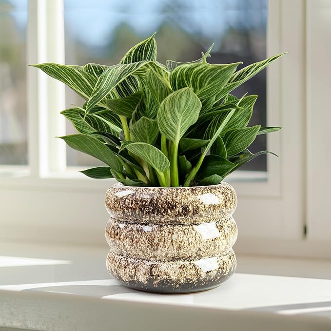 Ceramic 6 inch Plant Pot - Planter for Indoor Plants with Drainage Hole, Flower Pots for Orchid, Succulent,Outdoor Plants, Modern Glaze Planters for Home Office Decor Gift