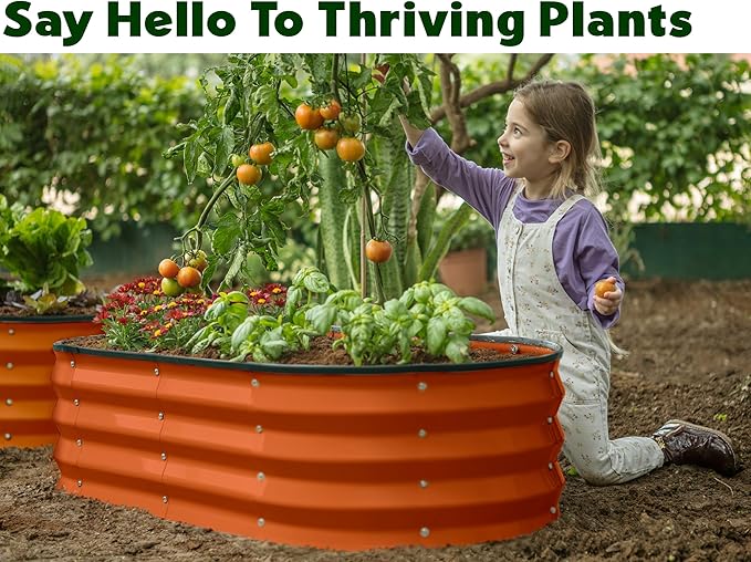 Galvanized Raised Garden Beds Outdoor // 4×2×1 ft (2-Pack) Planter Raised Beds for Gardening, Vegetables, Flowers (Orange) // Large Metal Garden Box