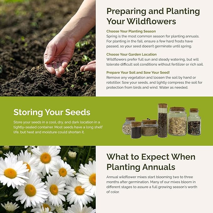 Eden Brothers Green with Envy Flower Mixed Seeds for Planting, 1 lb, 480,000+ Seeds with White Yarrow, Cornflower White | Attracts Pollinators, Plant in Spring or Fall, Zones 3, 4, 5, 6, 7, 8, 9, 10