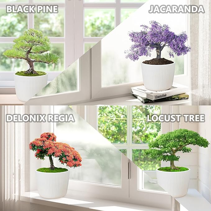 Bonsai Tree Kit, Wooden Gift Box Indoor Bonsai Tree Starter Kit with Tools & Japanese Plants Seeds, Growing DIY Gardening for Plant Lovers (Plant Lover Gift)
