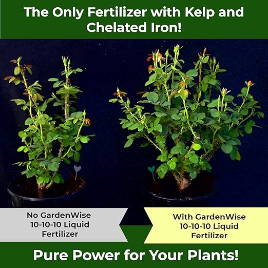 10-10-10 Fertilizer for All Purpose Plants - Liquid Fertilizer with Seaweed Kelp&Iron - Plant Food Outdoor & Indoor Plant Food, Vegetables, Flowers, Lawn & Garden 10 10 10 Fertilizer 1x8oz